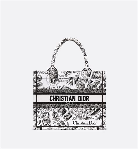 dior book tote plan de paris